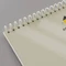Thumbnail preview 3