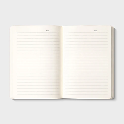 Classic Diary - gallery image 4