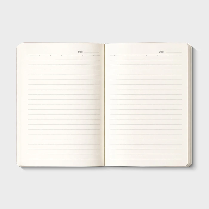 Classic Diary - gallery image 4